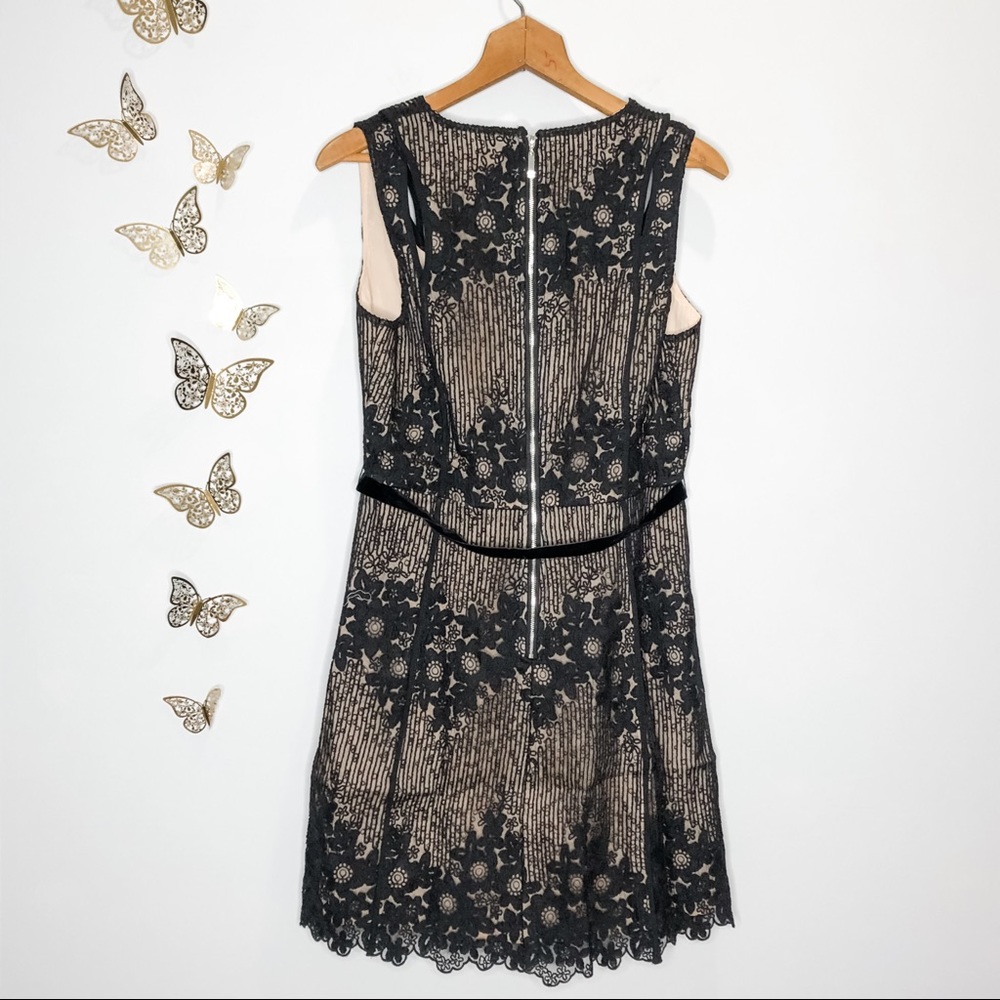 🦋🌙 NWT FOXIEDOX x ANTHROPOLOGIE | Asha Black Lace Dress - Picture 8 of 15